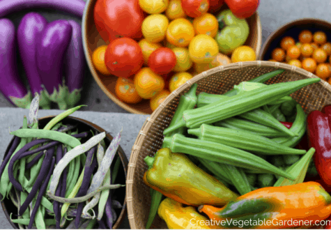 Harvest from the garden with easy food preserving ideas for summer