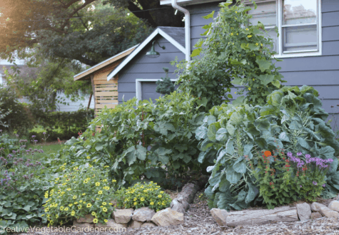 raised garden for vegetables