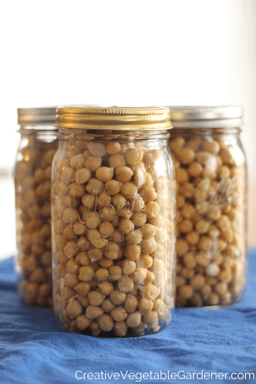chickpeas ready to freeze