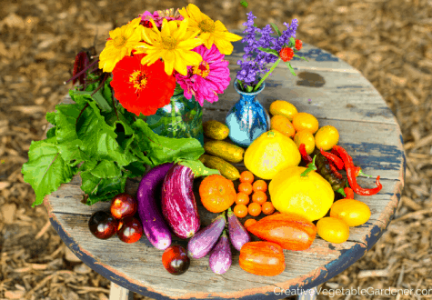 garden harvest of vegetables