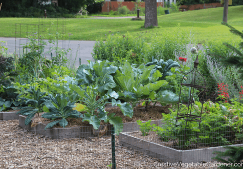 vegetable garden in summer with best gardening podcasts