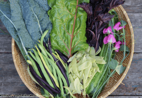 when to plant spring vegetables