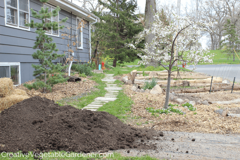 building vegetable garden soil
