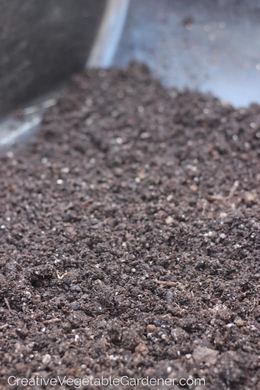 best seed starting mix for starting seeds at home