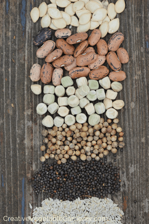 what to look for in a seed starting mix