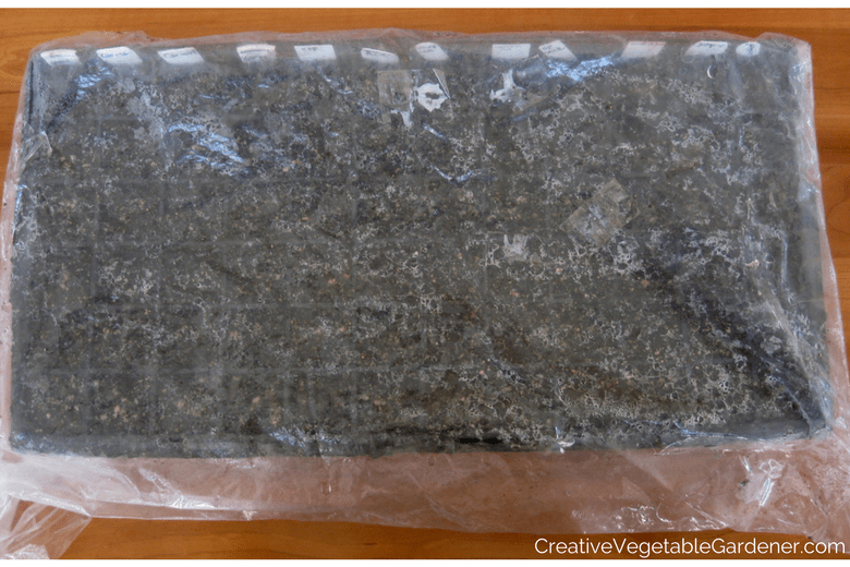 how to germinate seeds with a germination chamber how to germinate seeds with a germination chamber