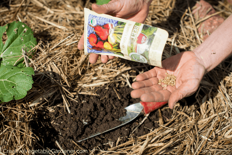 preparing garden beds