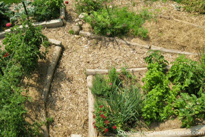 Before it gets cold, let's clean up my vegetable garden. The season ma