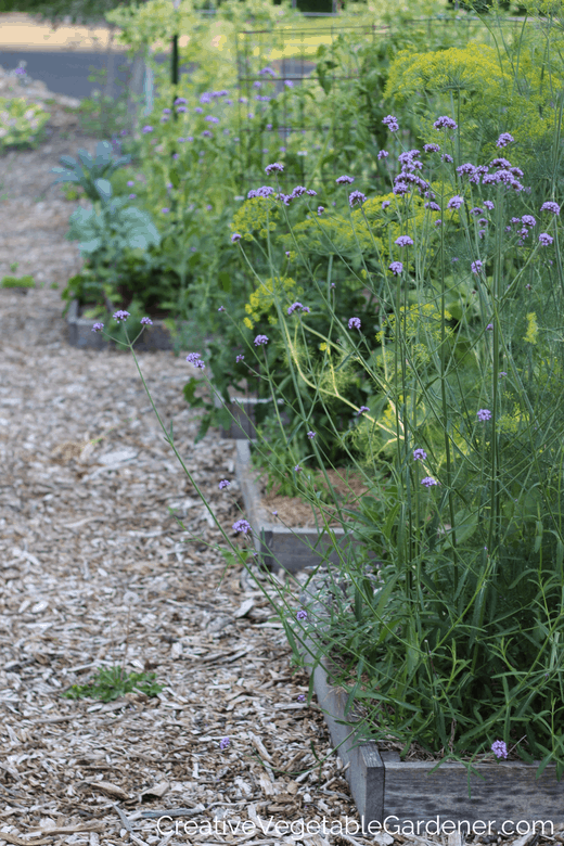 Creative Vegetable Gardener Why Mulch Is The Ultimate Garden Tool