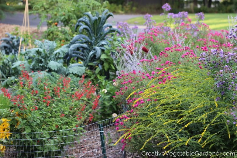 perennial flower garden with tips for growing an organic garden