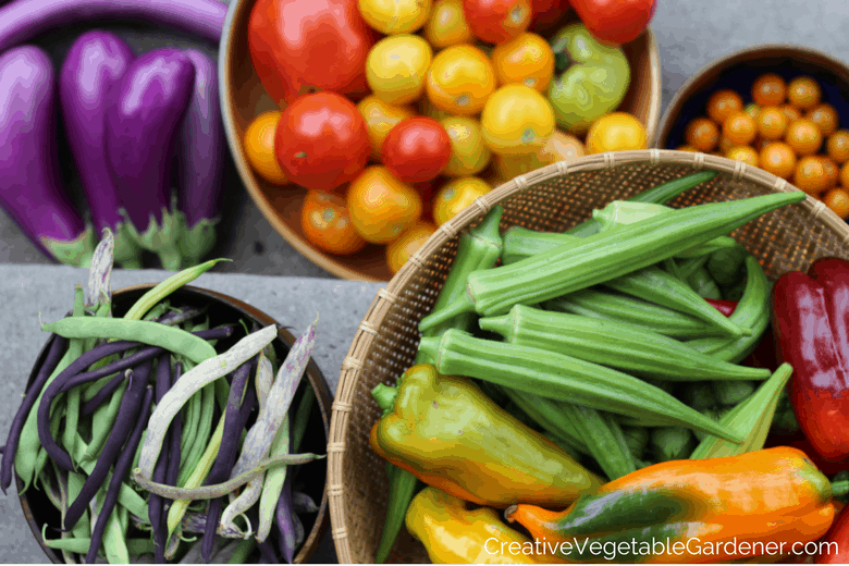 Harvest from the garden with easy food preserving ideas for summer