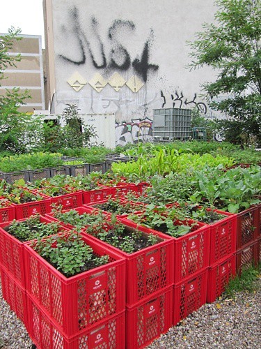 Big City Gardening