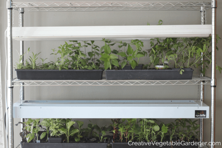 example of a diy grow light stand example of a diy grow light stand