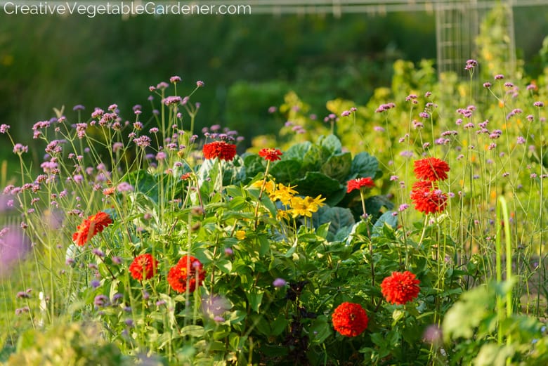 unique vegetable garden ideas