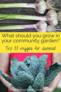 what to grow in a community garden plot