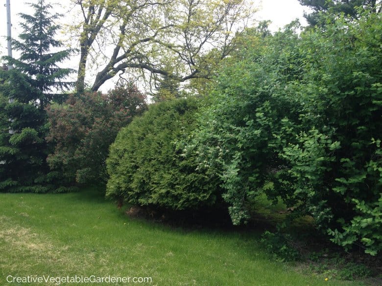 Design Vegetable Garden Design Vegetable Garden