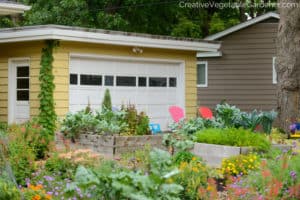colorful front yard vegetable garden