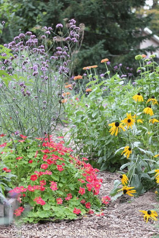 how to build a raised garden for vegetables