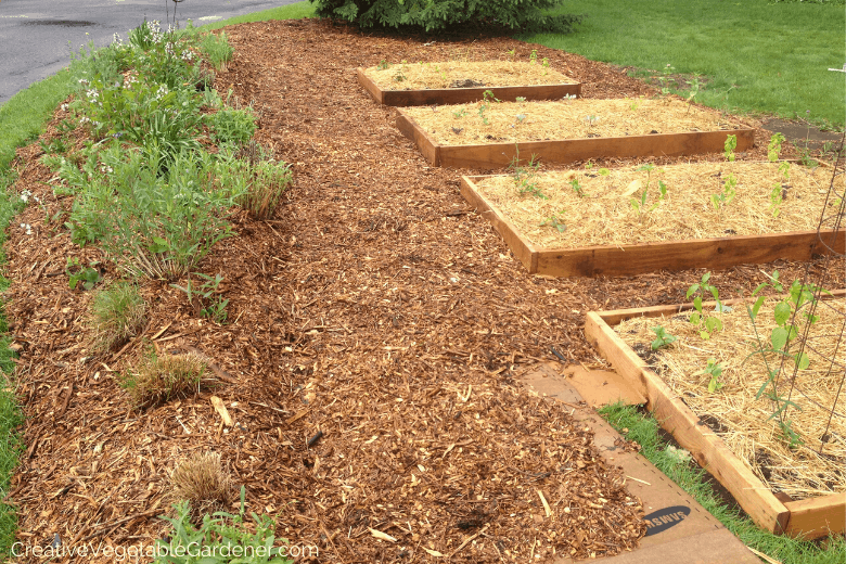 raised garden beds for vegetables