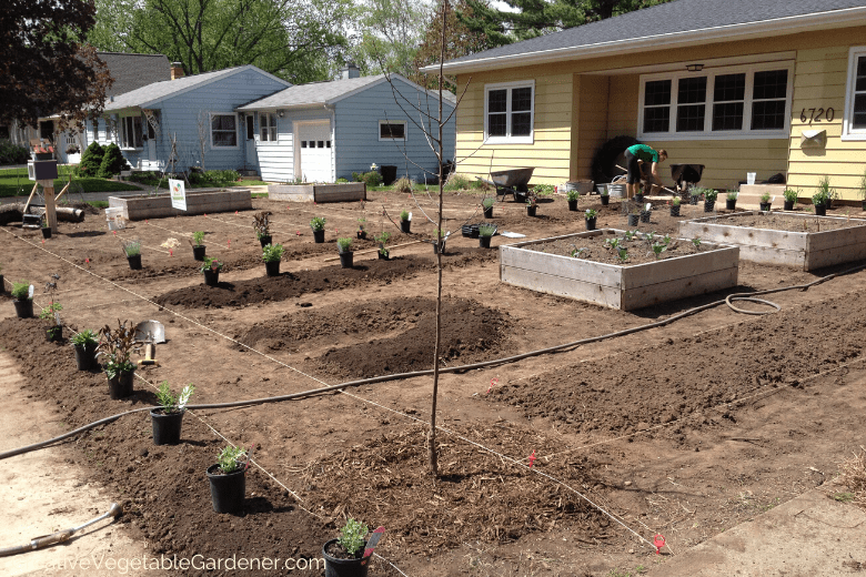 building-an-easy-raised-bed-for-vegetables.png