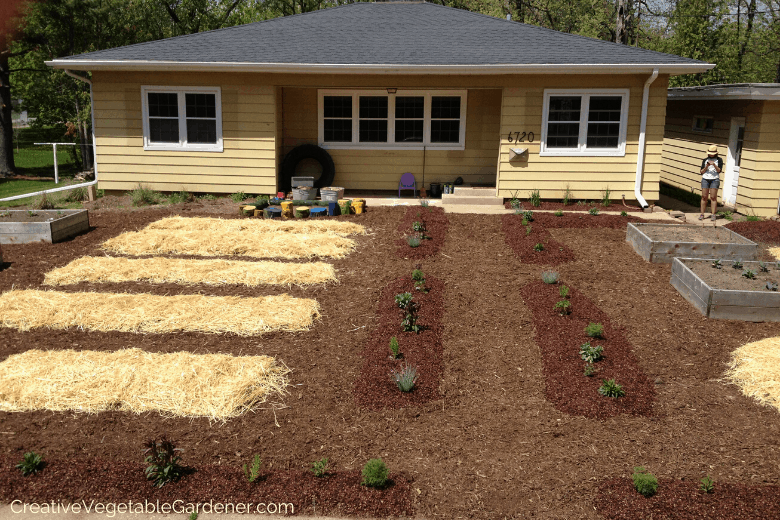 building raised garden beds