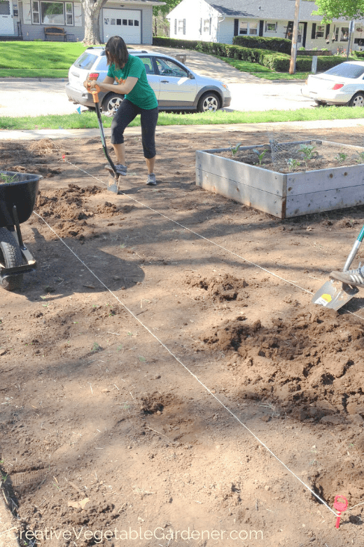 how to build a raised bed garden