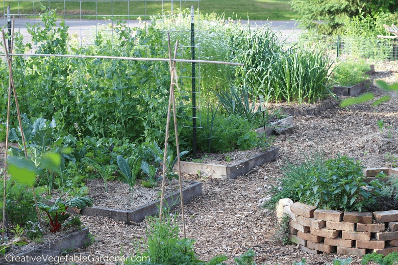 how to build a raised bed garden for vegetables