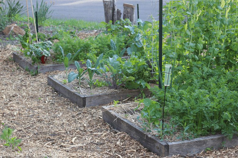 how to build raised beds for your vegetable garden