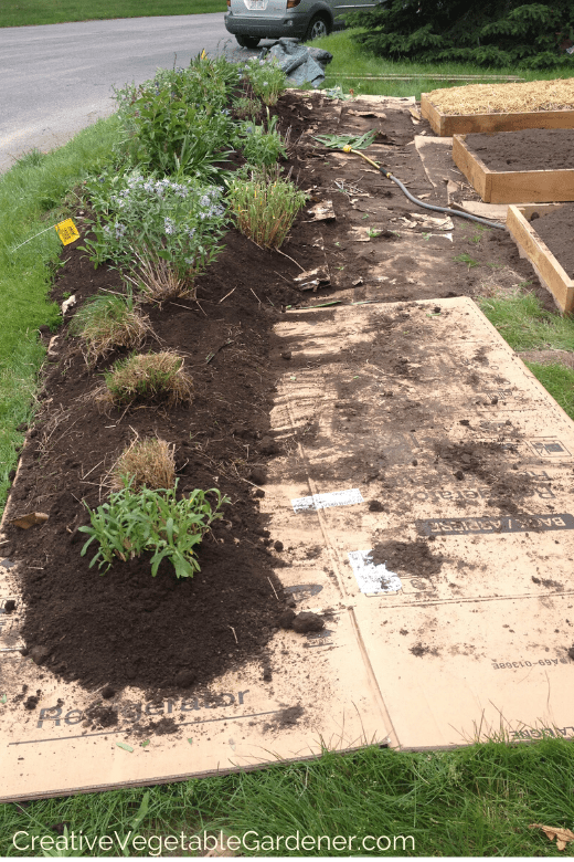 how to build a raised bed