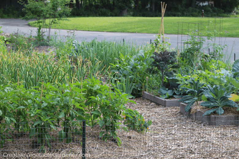 how to build garden beds