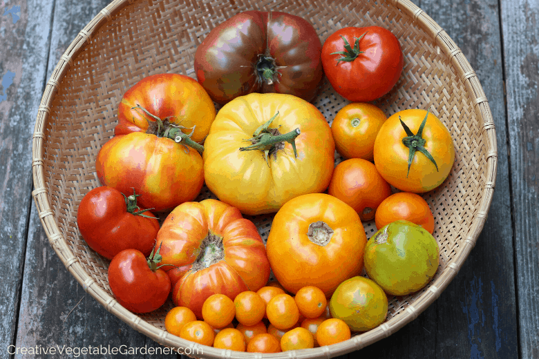 building raised beds for your garden harvests