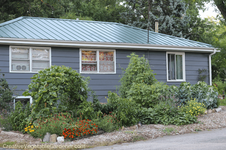 raised bed vegetable garden