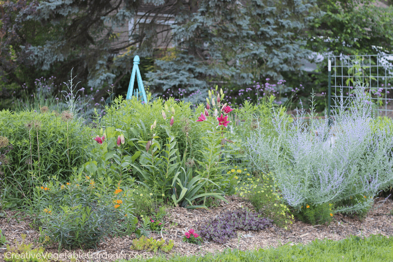 raised gardens for vegetables