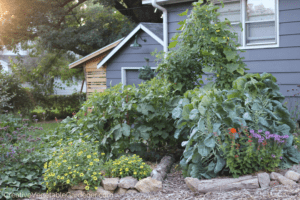 raised garden for vegetables