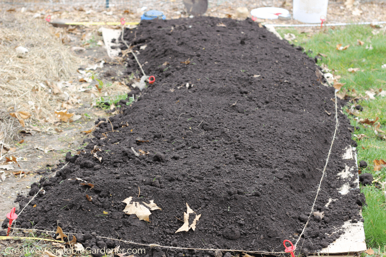 building a raised bed for vegetables