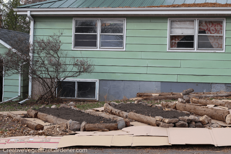 raised bed for vegetable garden