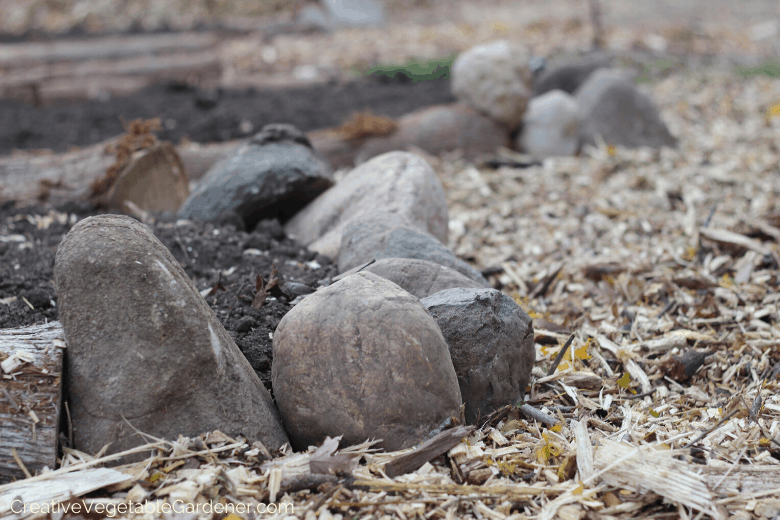 simple garden beds for vegetables