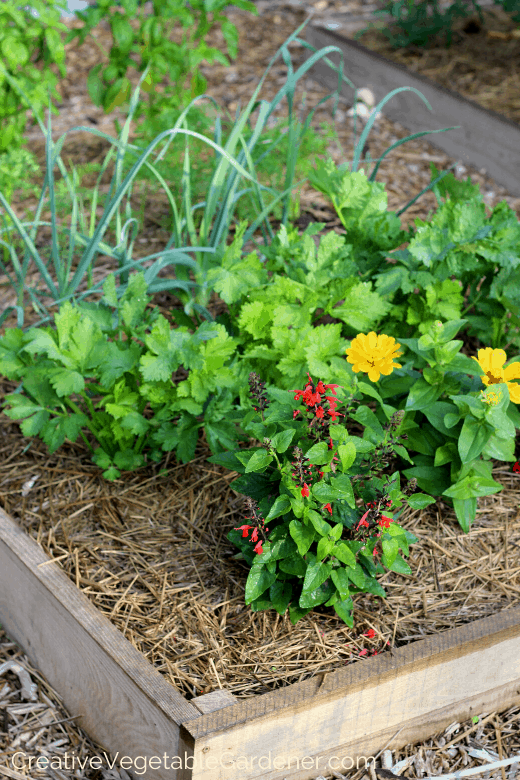 how to build a simple raised bed