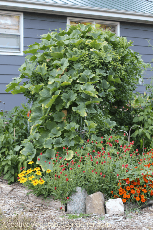 how to build raised bed