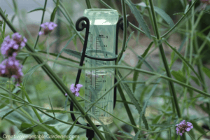 rain gauge for watering vegetable garden