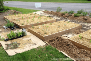 new raised beds not growing plants