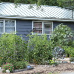 healthy vegetable garden without soil problems