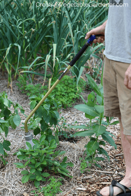 Creative Vegetable Gardener Secrets To Watering Your Vegetable