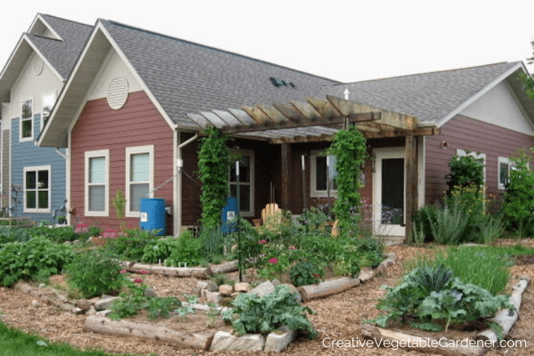 vegetable garden behind house