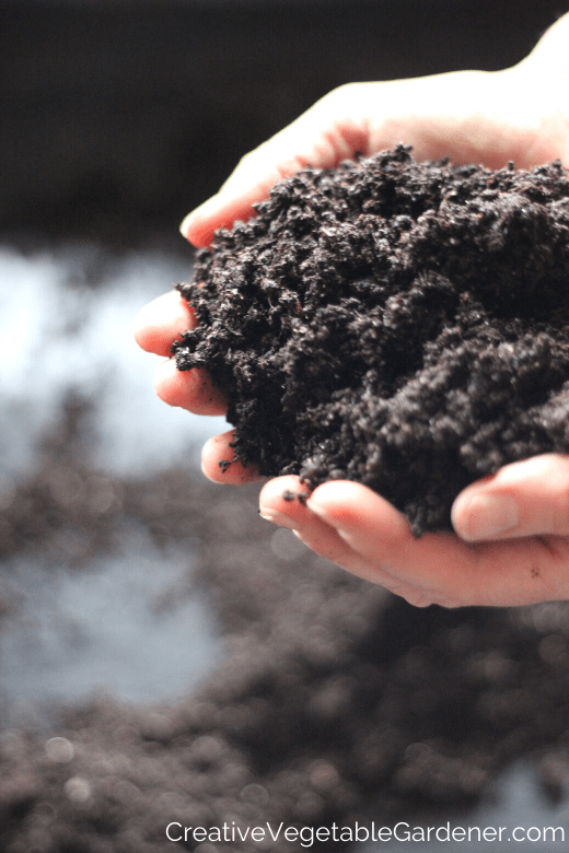 gardener holding soil
