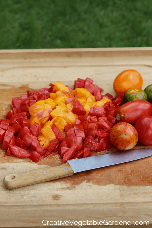 easy ways to preserve tomatoes from your garden