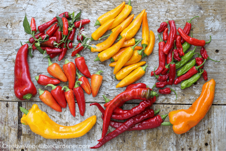 how to freeze sweet and hot peppers