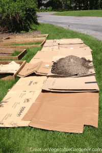 cardboard to make a garden bed