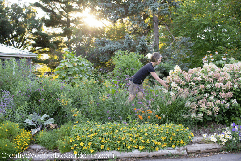 woman harvesting from a flower bed