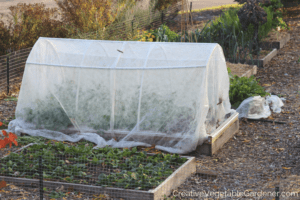 use row cover to prepare your garden for winter